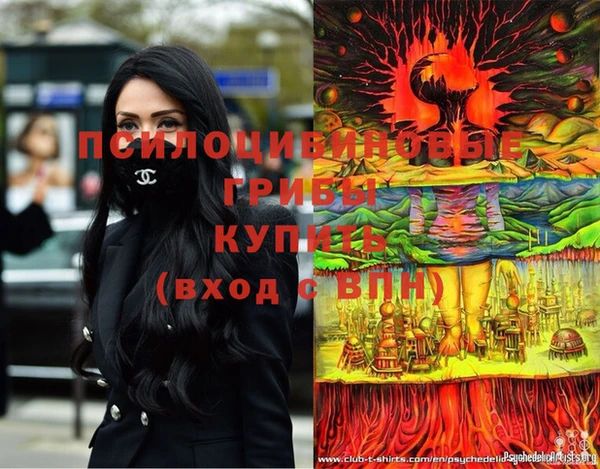 прущие грибы Абдулино