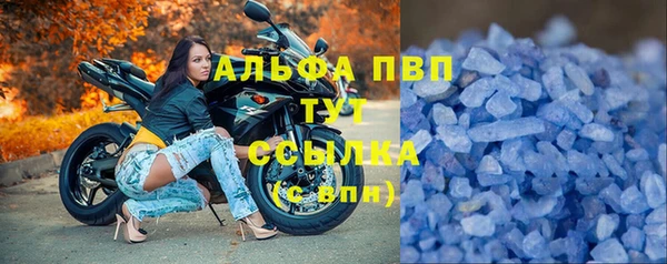 прущие грибы Абдулино