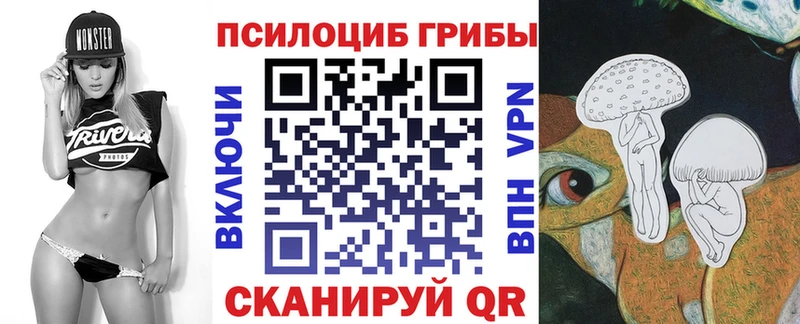 закладка  Сысерть  Псилоцибиновые грибы Cubensis 
